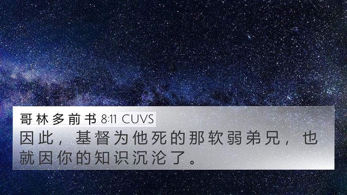 哥 林 多 前 书 8:11 CUVS Bible Verse Image
