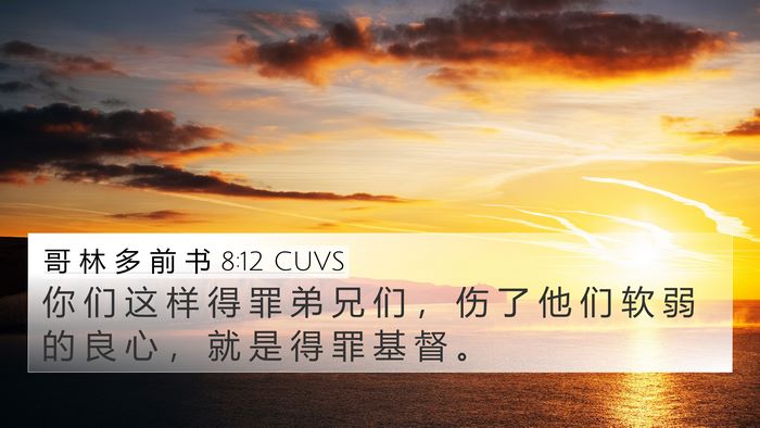 哥 林 多 前 书 8:12 CUVS Bible Verse Image