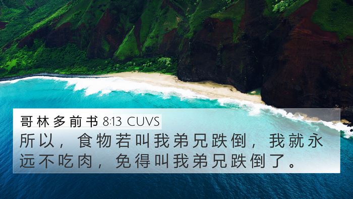 哥 林 多 前 书 8:13 CUVS Bible Verse Image
