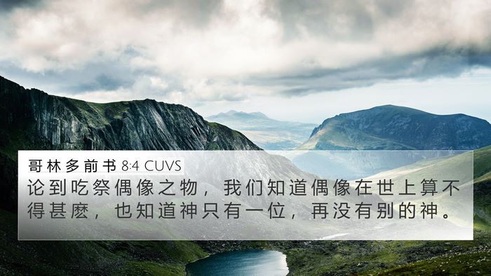 哥 林 多 前 书 8:4 CUVS Bible Verse Image