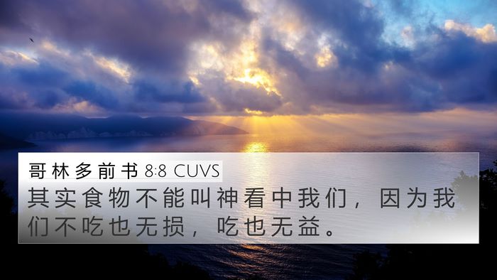 哥 林 多 前 书 8:8 CUVS Bible Verse Image