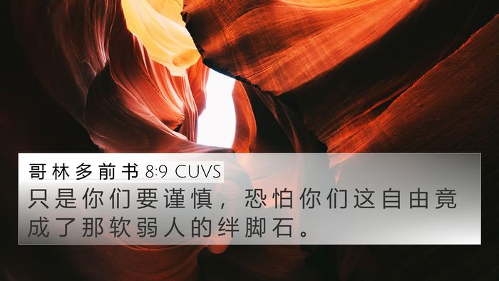 哥 林 多 前 书 8:9 CUVS Bible Verse Image