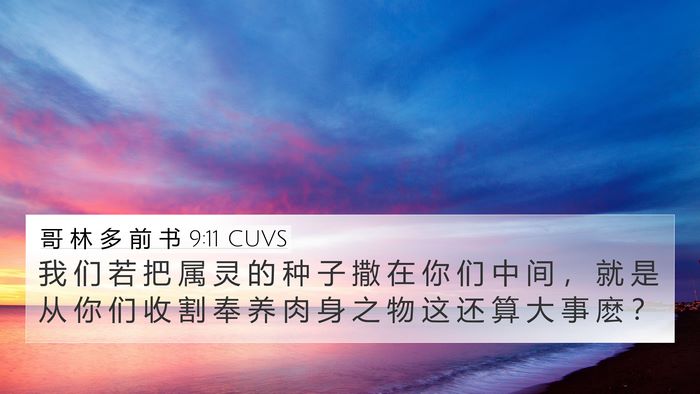 哥 林 多 前 书 9:11 CUVS Bible Verse Image
