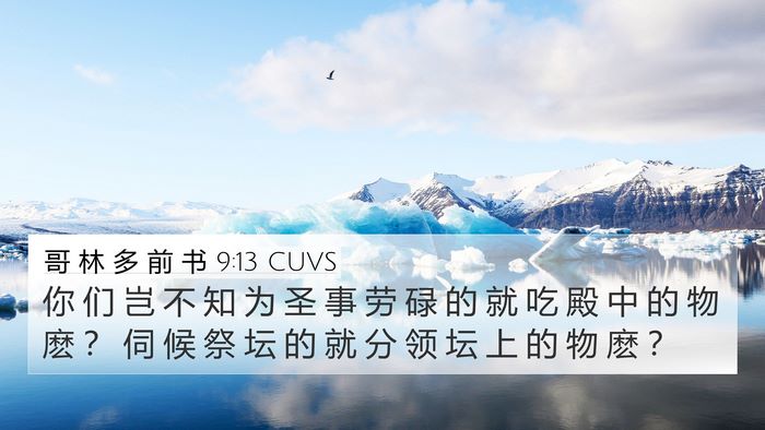 哥 林 多 前 书 9:13 CUVS Bible Verse Image