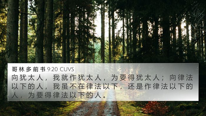 哥 林 多 前 书 9:20 CUVS Bible Verse Image