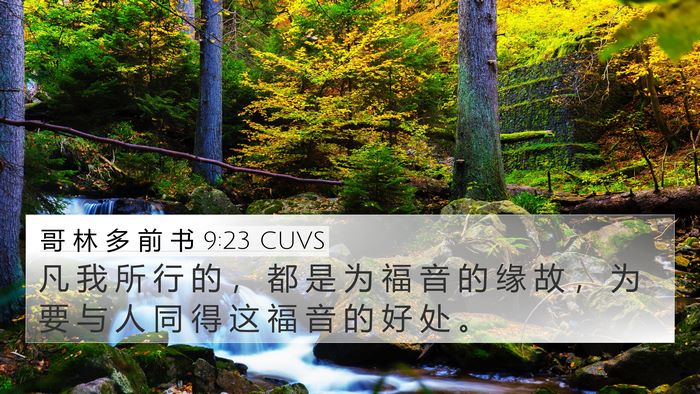 哥 林 多 前 书 9:23 CUVS Bible Verse Image