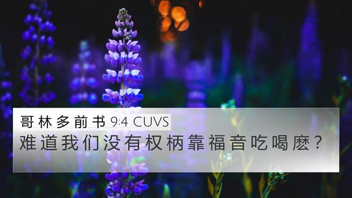 哥 林 多 前 书 9:4 CUVS Bible Verse Image