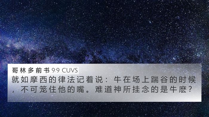 哥 林 多 前 书 9:9 CUVS Bible Verse Image