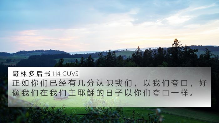 哥 林 多 后 书 1:14 CUVS Bible Verse Image