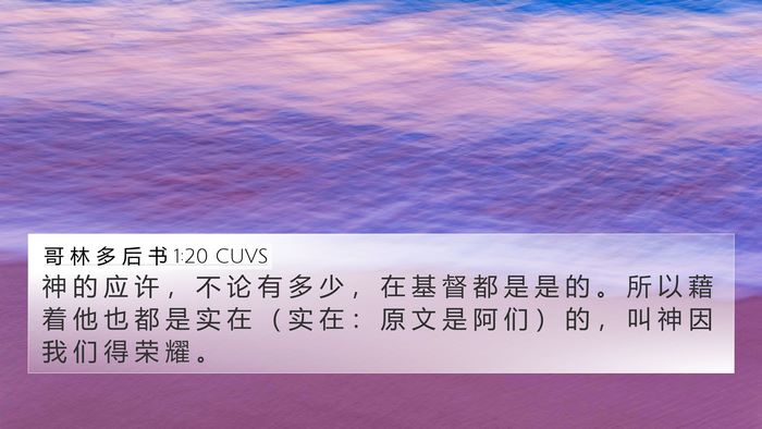 哥 林 多 后 书 1:20 CUVS Bible Verse Image