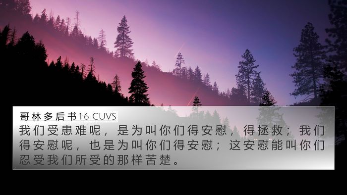 哥 林 多 后 书 1:6 CUVS Bible Verse Image