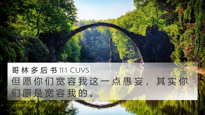 哥 林 多 后 书 11:1 CUVS Bible Verse Image