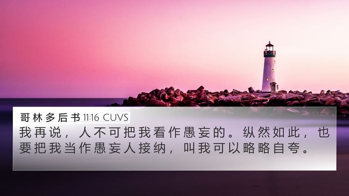 哥 林 多 后 书 11:16 CUVS Bible Verse Image