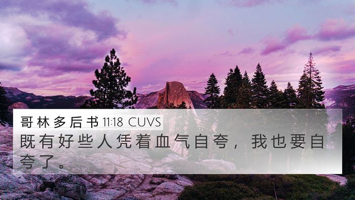 哥 林 多 后 书 11:18 CUVS Bible Verse Image