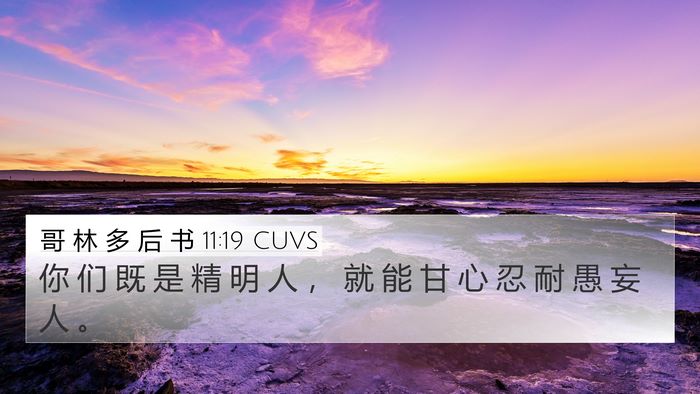 哥 林 多 后 书 11:19 CUVS Bible Verse Image
