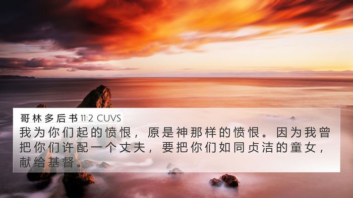 哥 林 多 后 书 11:2 CUVS Bible Verse Image
