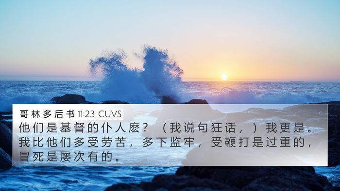 哥 林 多 后 书 11:23 CUVS Bible Verse Image