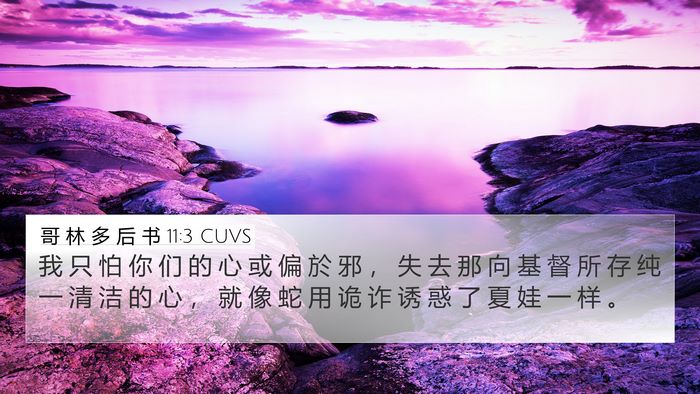 哥 林 多 后 书 11:3 CUVS Bible Verse Image