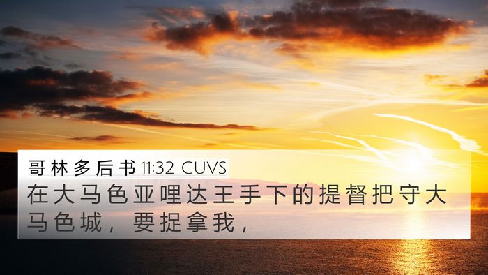 哥 林 多 后 书 11:32 CUVS Bible Verse Image