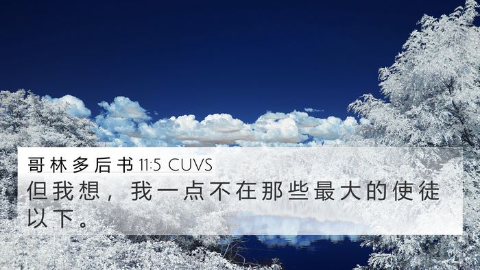 哥 林 多 后 书 11:5 CUVS Bible Verse Image