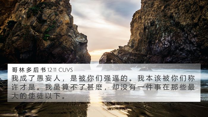 哥 林 多 后 书 12:11 CUVS Bible Verse Image