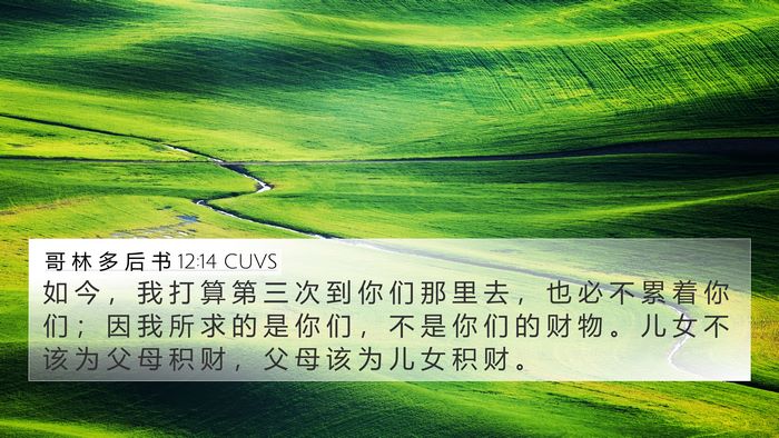 哥 林 多 后 书 12:14 CUVS Bible Verse Image