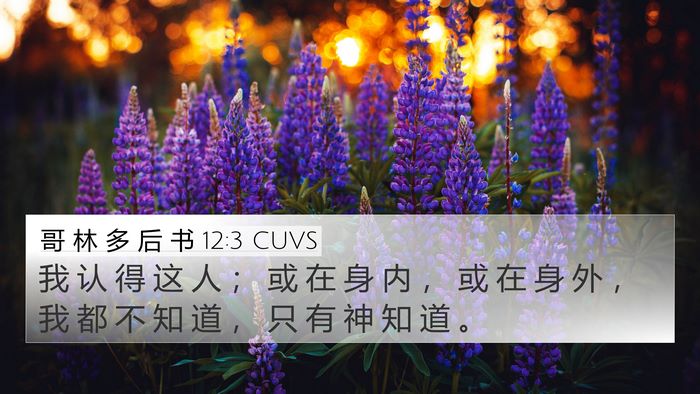 哥 林 多 后 书 12:3 CUVS Bible Verse Image