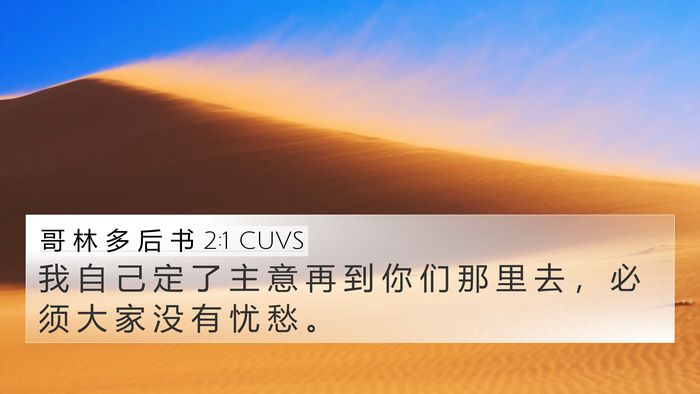 哥 林 多 后 书 2:1 CUVS Bible Verse Image