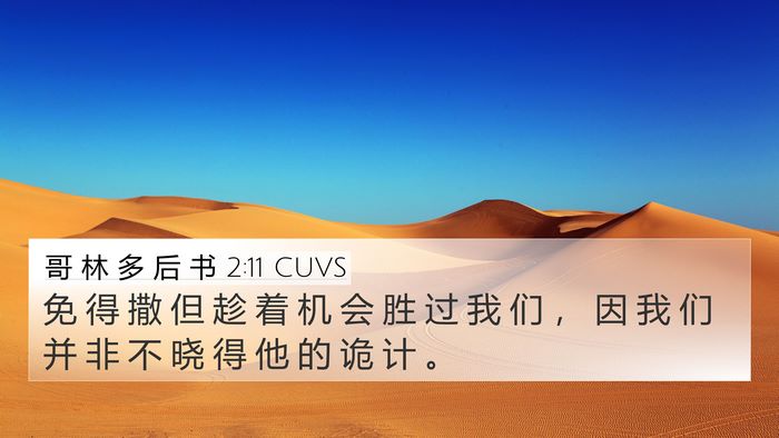 哥 林 多 后 书 2:11 CUVS Bible Verse Image