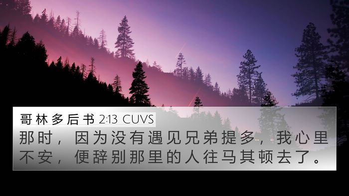 哥 林 多 后 书 2:13 CUVS Bible Verse Image