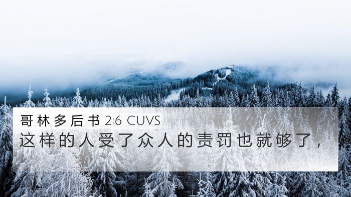 哥 林 多 后 书 2:6 CUVS Bible Verse Image