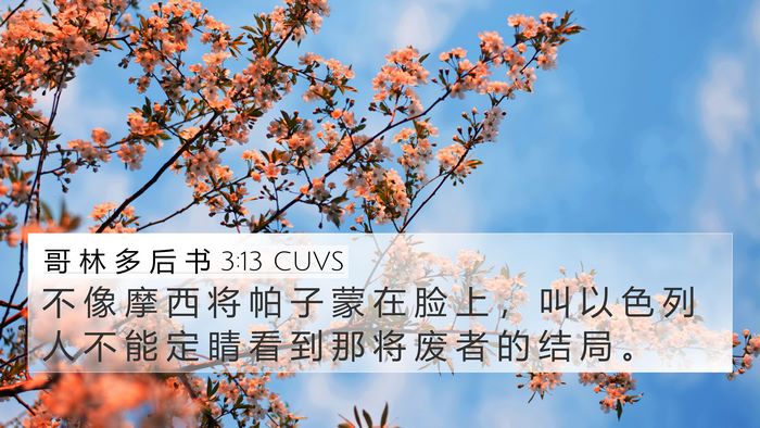 哥 林 多 后 书 3:13 CUVS Bible Verse Image