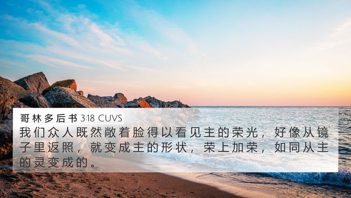 哥 林 多 后 书 3:18 CUVS Bible Verse Image