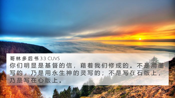哥 林 多 后 书 3:3 CUVS Bible Verse Image