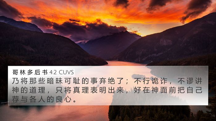 哥 林 多 后 书 4:2 CUVS Bible Verse Image