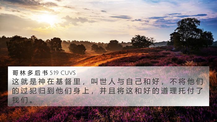 哥 林 多 后 书 5:19 CUVS Bible Verse Image