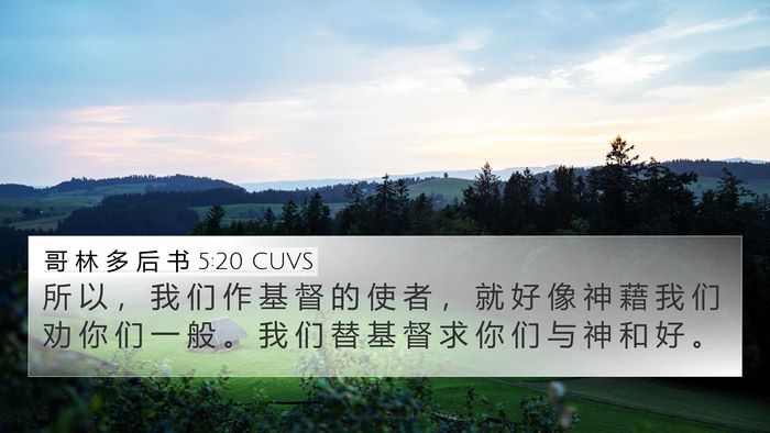 哥 林 多 后 书 5:20 CUVS Bible Verse Image