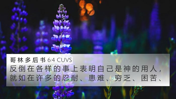 哥 林 多 后 书 6:4 CUVS Bible Verse Image