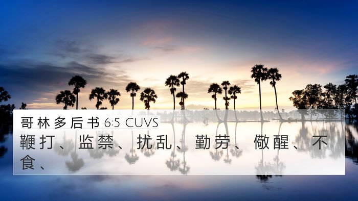 哥 林 多 后 书 6:5 CUVS Bible Verse Image