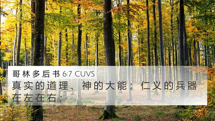 哥 林 多 后 书 6:7 CUVS Bible Verse Image