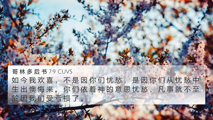 哥 林 多 后 书 7:9 CUVS Bible Verse Image