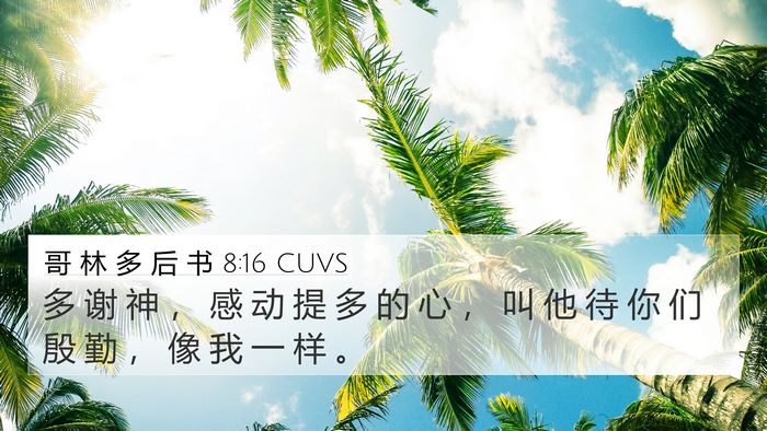 哥 林 多 后 书 8:16 CUVS Bible Verse Image