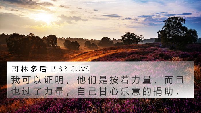 哥 林 多 后 书 8:3 CUVS Bible Verse Image