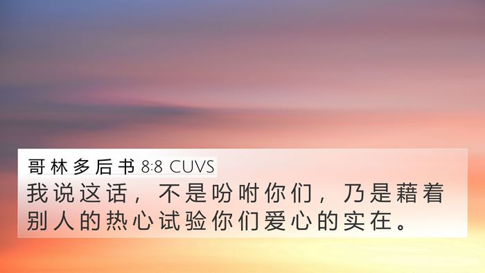 哥 林 多 后 书 8:8 CUVS Bible Verse Image