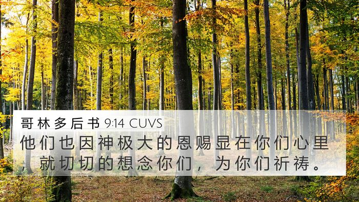 哥 林 多 后 书 9:14 CUVS Bible Verse Image