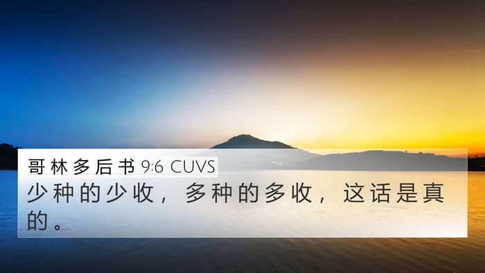 哥 林 多 后 书 9:6 CUVS Bible Verse Image