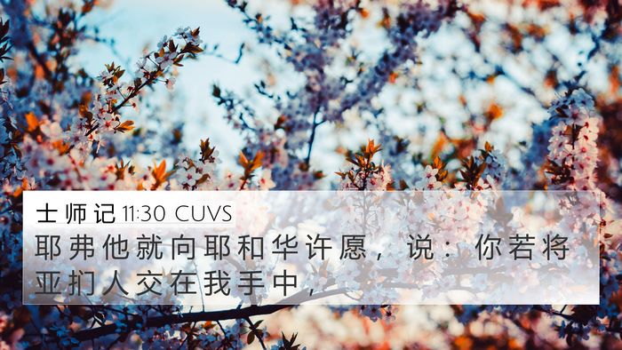 士 师 记 11:30 CUVS Bible Verse Image