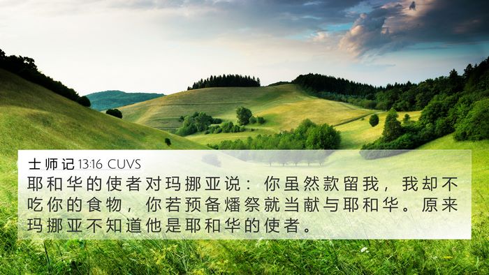 士 师 记 13:16 CUVS 4K Wallpaper - 耶 和 华 的 使 者 对 玛 挪 亚 说 ： - 4K Wallpaper Bible Verse