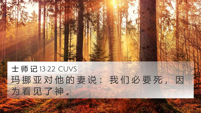 士 师 记 13:22 CUVS Bible Verse Image