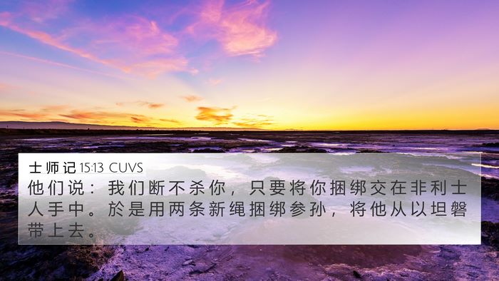 士 师 记 15:13 CUVS Bible Verse Image